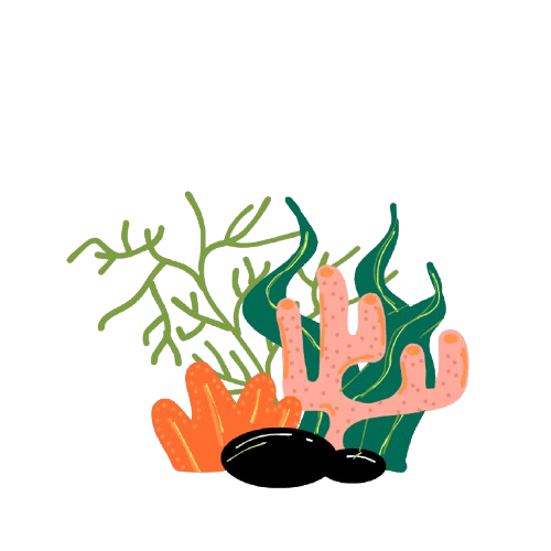 Underwater coral plant